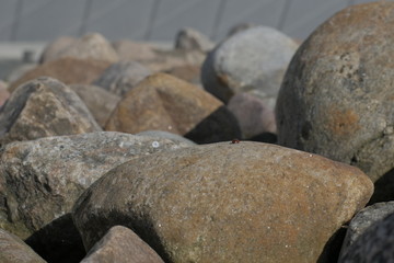 Granite stones in front of steel textured wall