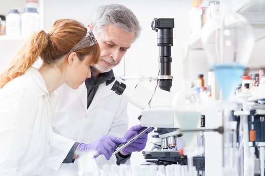 Health care researchers working in life scientific laboratory. Female research scientist and senior male supervisor looking focused at tablet computer screen evaluating and analyzing microscope image.