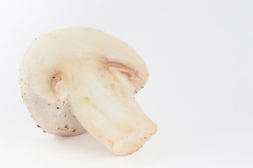 Freshly harvested mushroom (Agaricus bisporus) isolated in white background