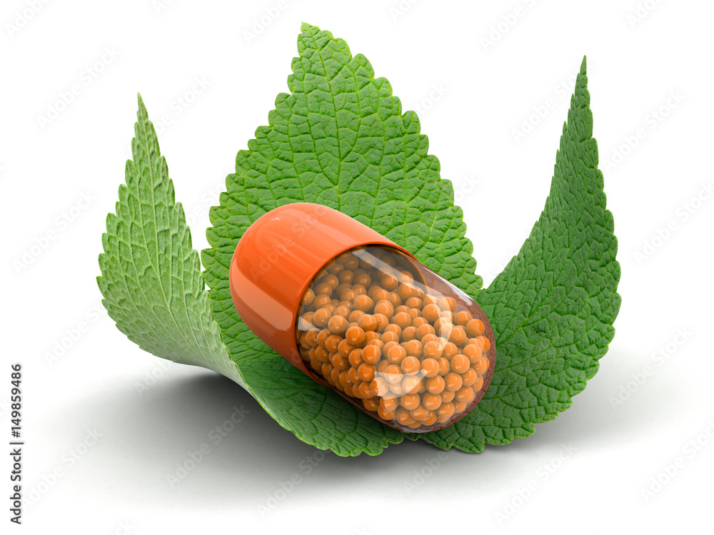 Poster capsule and leaves. image with clipping path