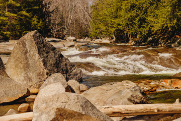 Wilderness River