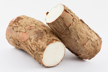 Cassava (Manihot esculenta) isolated in white background