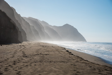 Misty beach in pacific northwest