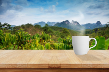 Coffee cup on the table in the robusta coffee farm.