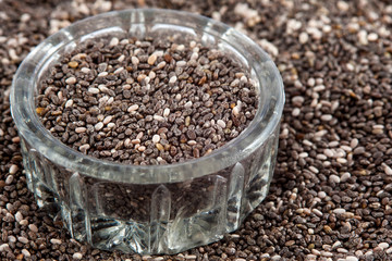 Chia seeds (Salvia hispanica)