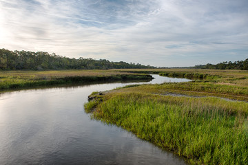 Fototapeta na wymiar Tranquil Marsh 
