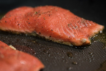 Salmon Cooking