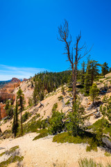 Bryce Canyon Utah