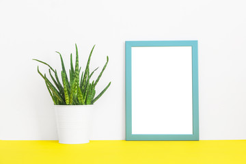 Blue empty frame and a plant.