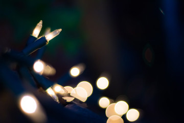 Christmas lights