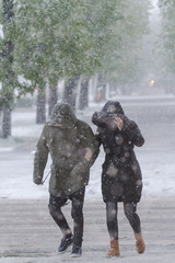 People go with difficulty in Snow Storm in April. Global warming effect.