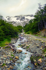 Fototapeta na wymiar Cerro Martial in summer, Ushuaia, Province Tierra del Fuego, Patagonia Argentina, South America.