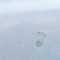 Foot track on the beach