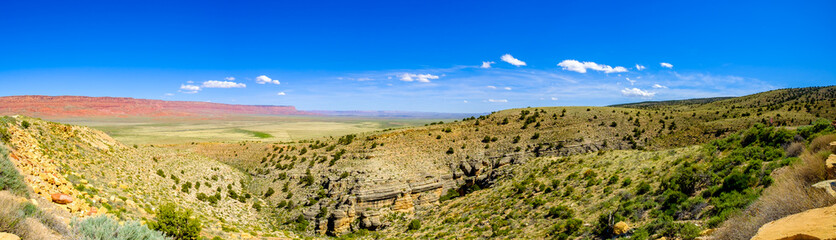 Arizona desert panorama