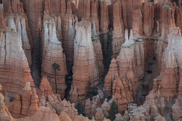 Fans of Hoodoos Spread