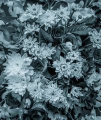 Beautiful vintage flower texture background