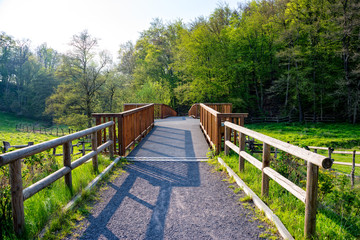 Small bridge in the forest
