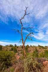 Beautiful Sedona Landscape