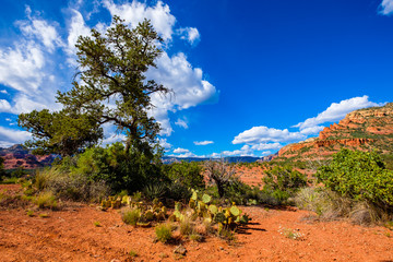 Beautiful Sedona Landscape