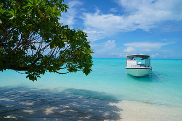 パラオ カヤンゲル島 Kayangel Island,Palau