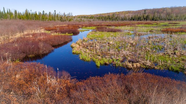 Hay Marsh Creek - Boyne Falls Michigan