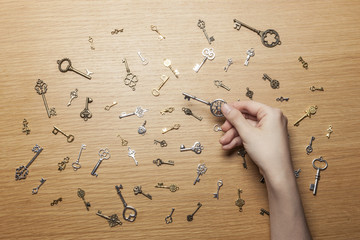 Fototapete bei efototapeten.de bestellen   