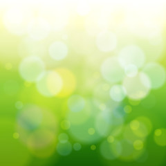 Fototapeta na wymiar abstract green spring blur background vector illustration
