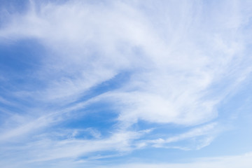 wafting cloud in sky