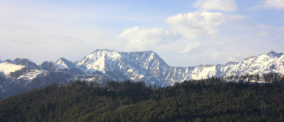 Fototapeta premium Mountain landscape. Snowy mountain range and green ridge with forest.