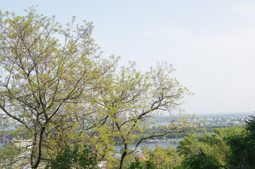 A bridge across the river, a city above the river. Spring