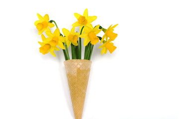 Floral ice cream.  Yellow daffodils  (narcissus, jonquil ) in a waffle cup 