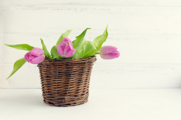 Obraz premium Bouquet of pink tulips