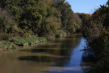 Kansas Creek