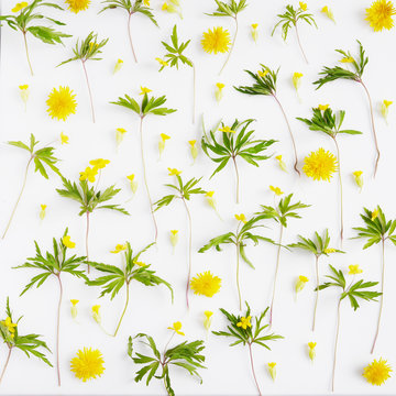 Floral pattern abstract background.