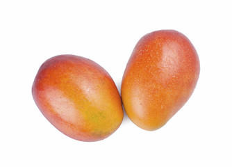 Isolated mango fruit