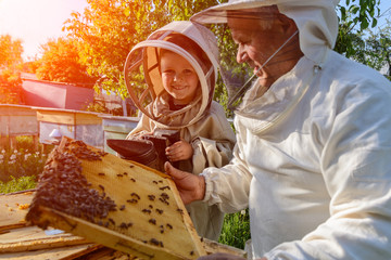 Experienced beekeeper grandfather teaches his grandson caring for bees. Apiculture. The transfer of...