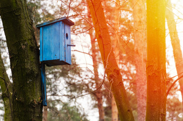 birdhouse hanging on tree.