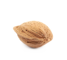 Single almond nut isolated