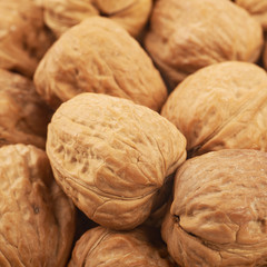 Surface coated with walnuts