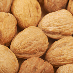 Surface coated with walnuts