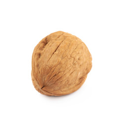 Single walnut isolated