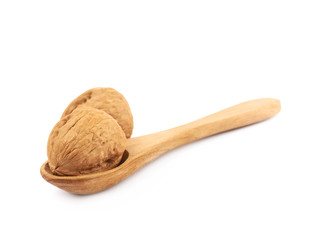 Walnut in a wooden spoon isolated