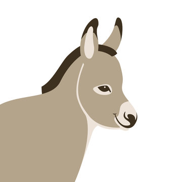 young donkey vector illustration style Flat