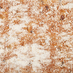 Floured bread crust texture