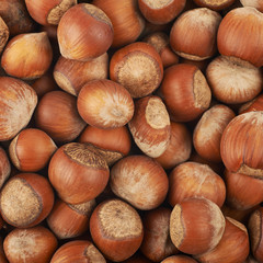 Surface coated with hazelnuts