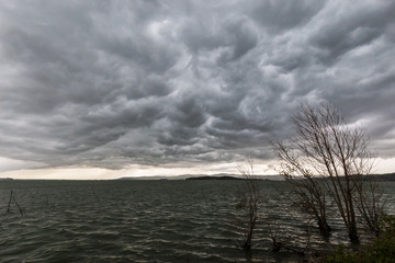 Fototapeta premium Some spectacular and menacing clouds over a lake, with some trees bent by the wind in the foreground