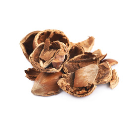 Pile of hazelnut shells isolated