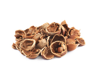 Pile of hazelnut shells isolated