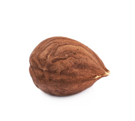 Single hazelnut isolated