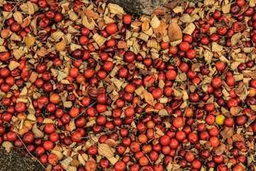 Red cherry mixed with leafs background
